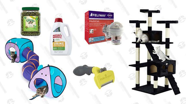 Image for article titled These Are the Products Every Crazy Cat Person Needs In Their Multi-Cat Household