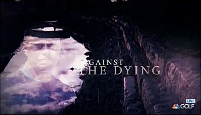Golf Channel's Overwrought Tiger Woods Promo Quotes Dylan Thomas, Then Gets Weirder<em></em>