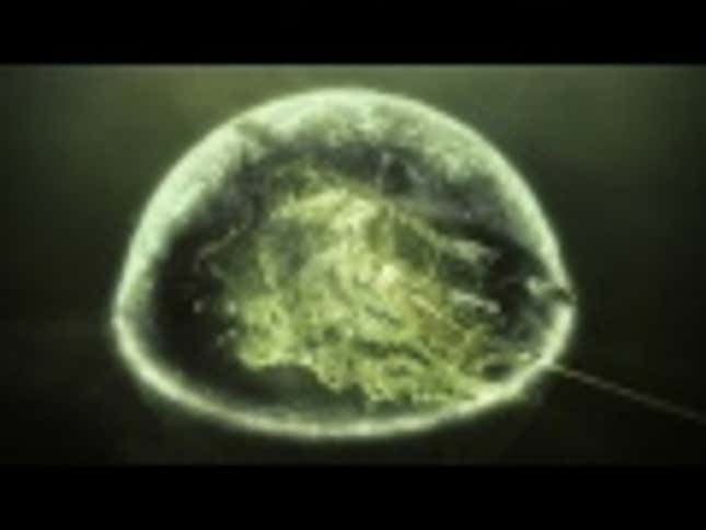 They Weren't Kidding When They Said <em>Final Fantasy Type-0</em> Was Dark