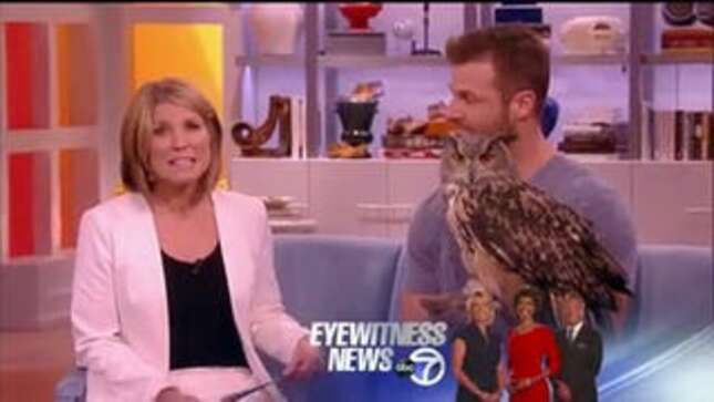 When Owls Attack!: Watch <em>The View</em>'s Nicolle Wallace Tuck and Roll