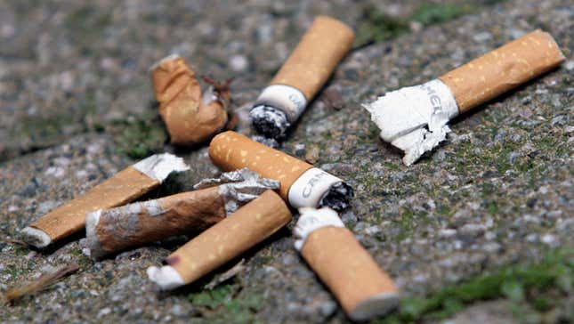 Cigarette Butts Stunt Plants' Growth