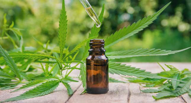 Image for article titled Buds and Beauty: What Is CBD (Cannabidiol) and Why Is it in Everything?