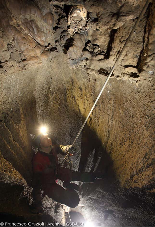 How This Ancient, Defleshed Human Skull Ended Up in Such a Strange Spot