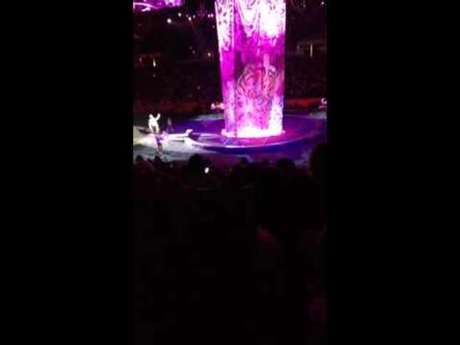 Trapeze Collapse At Ringling Bros. Circus Critically Injures Acrobats