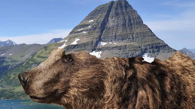 A Video and Graphic Guide to 12 of America's Most Beautiful Natural Parks
