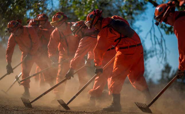 Inmate firefighters from Oak Glen Conservation Camp clear vegetation that could fuel a wildfire near a road under the authority of Cal Fire.