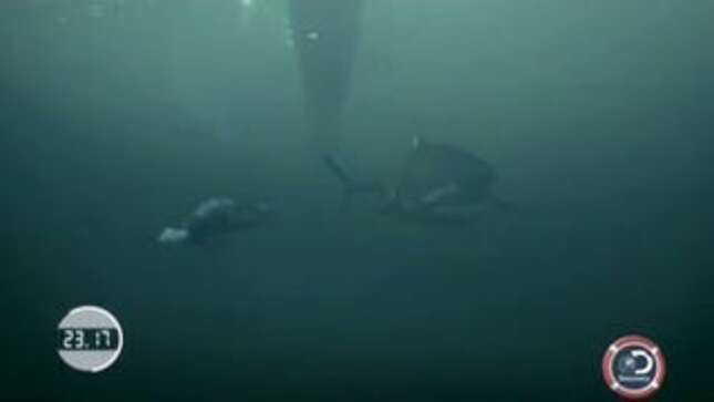 You Can't Trust Shark Week