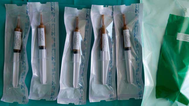 Syringes filled with stool being prepped for fecal microbiota transplantation. 