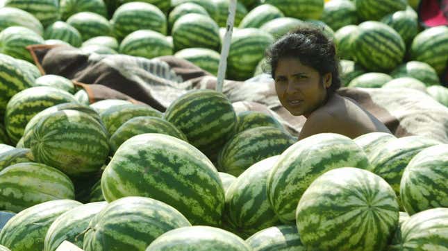 Watermelon seller with her merchandise in Bucharest, July 2003.