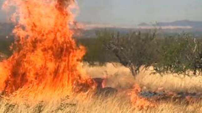 Family Built Gender Reveal Explosion So Intense That Neighbors Mistook It For an Earthquake