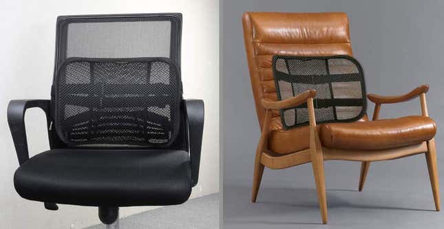 Go Lumbar Support Mesh Back Cushion, $16