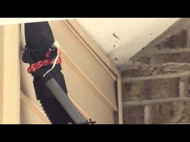 Remove a Wasp Infestation without Harsh Chemicals Using a Shop-Vac