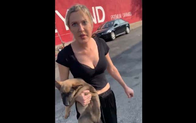 Image for article titled Canine-Abusing Karen Violently Throws Puppy at Black Man After Incoherent Rant