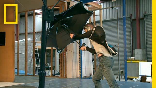 Save 20% On Blunt Umbrellas, Which Can Withstand Tropical Storm-Force Winds
