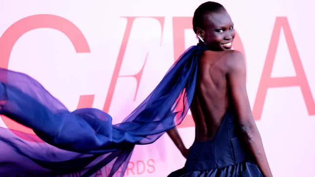 Alek Wek attends the CFDA Fashion Awards at the Brooklyn Museum of Art on June 03, 2019 in New York City. 