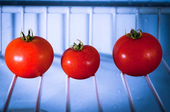 Cómo evito los malos olores en mi tomatodo? - TuTomatodo