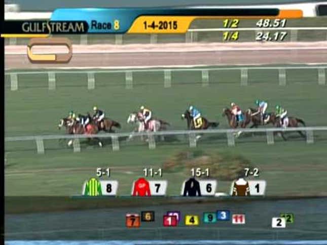 The Benefits Of Naming A Race Horse "Harass"