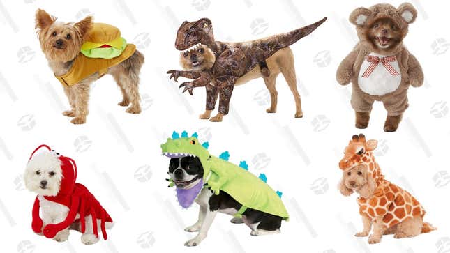 Image for article titled Which Halloween Costume Should I Buy For My Dog?