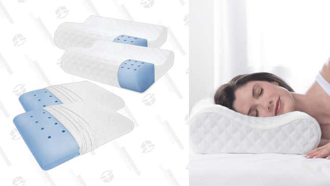 Therapedic Memory Foam Pillows (2-Pack) | $39 | MorningSave