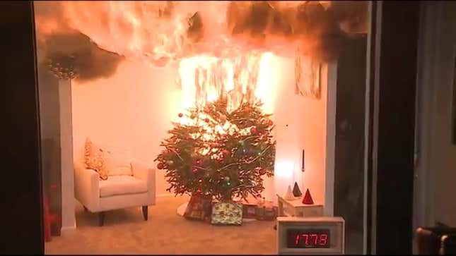 Your Neglected Christmas Tree Is a Huge Fire Hazard<em></em>