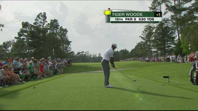 "No, Tiger, Dumbass," Says Dumbass Golfer Tiger Woods