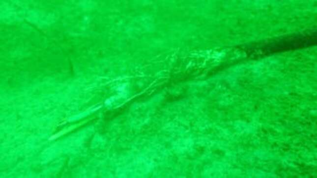 The shredded fiber-optic transmission cable.