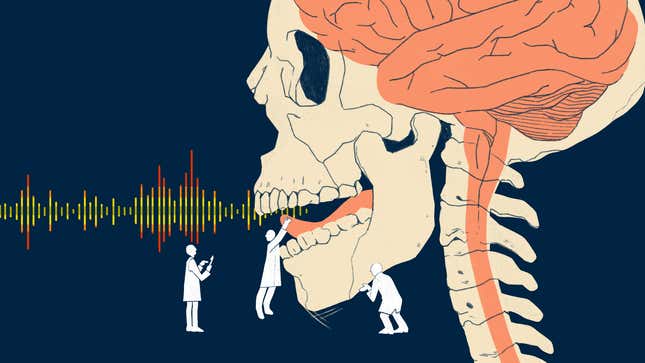 Image for article titled Vocal Tract Simulator Translates a Person&#39;s Brain Activity Into Clear Sentences