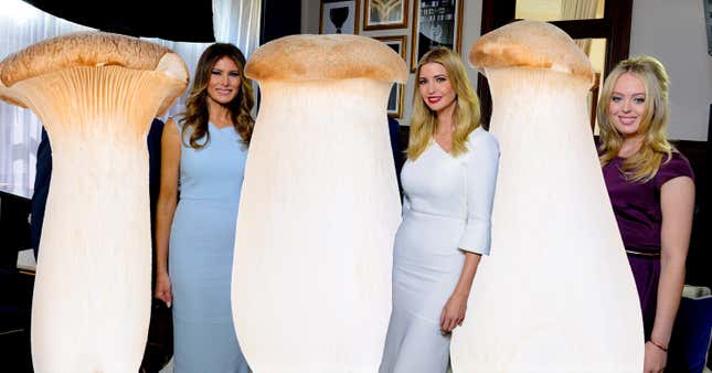 Image for article titled For Your Consideration: The Royal Trumpet Mushroom