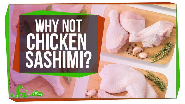 Why You Can Eat Raw Fish But Not Other Raw Meats