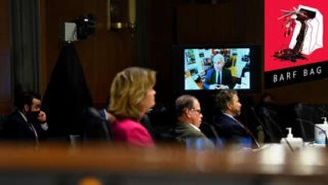 Image for article titled All the Economy-Horny Senators Raw Dogging It At the Fauci Hearings