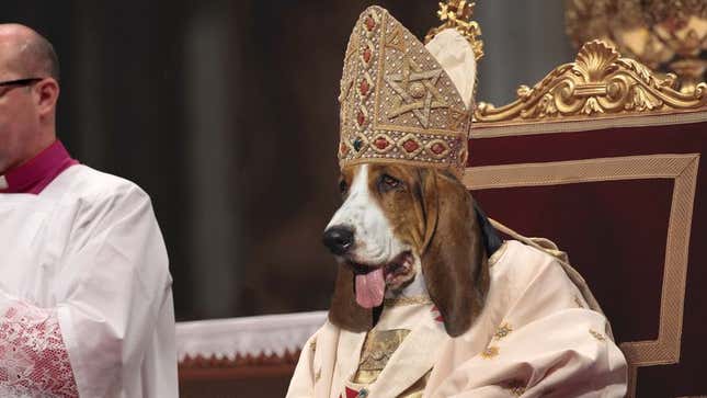 Image for article titled Poll: 99% Of Human Beings Would Prefer Big, Slobbery Hound Dog Pope