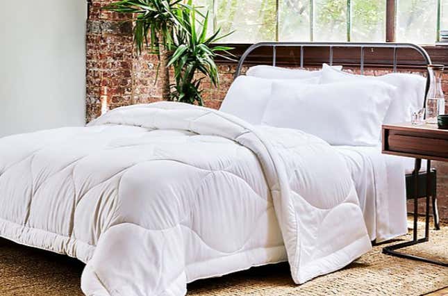 Buffy Cloud Down Alternative Comforter (Twin/XL) | $65 | Bed Bath &amp; Beyond
Buffy Cloud Down Alternative Comforter (Full/Q) | $80 | Bed Bath &amp; Beyond
