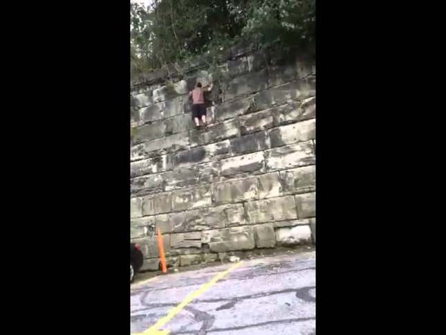 Things Did Not End Well For This Daring Browns Fan