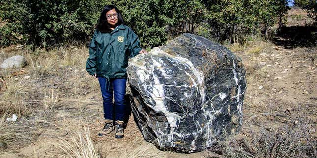Image for article titled Where Do You Think The &#39;Wizard Rock&#39; Was During Its Disappearance From the Arizona National Forest?