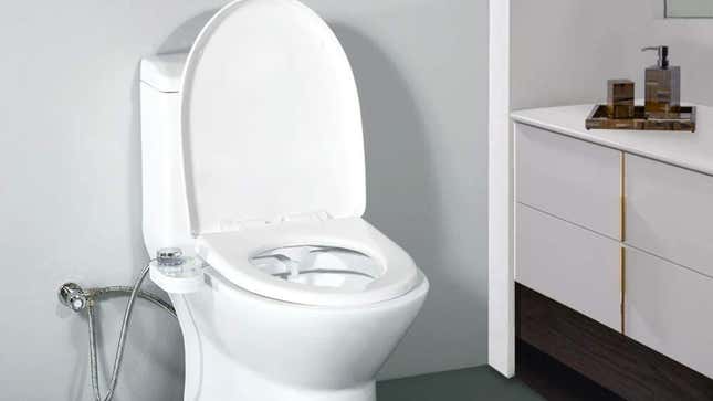 Image for article titled Stop Flushing Your Hard-Earned Cash Down the Toilet and Buy a Bidet Already