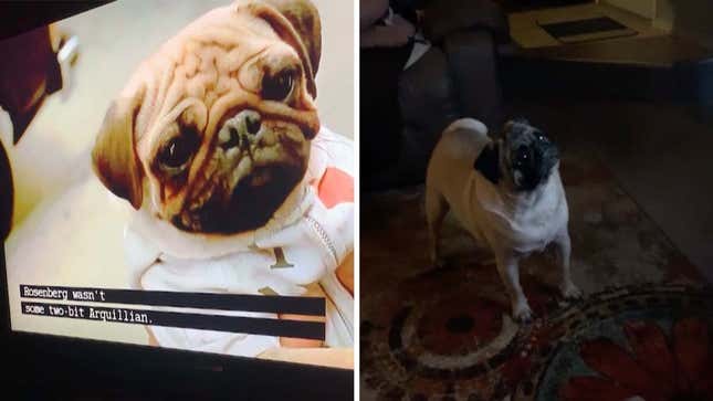 <i>Men In Black </i>has been added to the list of movies not to show your dog