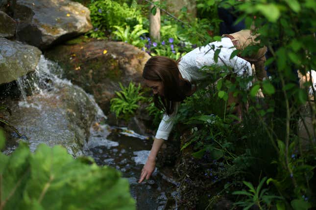 Image for article titled Here's Kate Middleton by a Babbling Brook