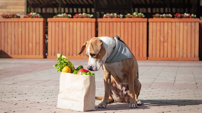 Image for article titled Lost dog in grocery store found in dog food aisle