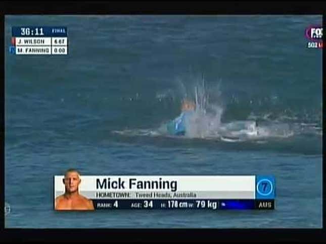 Surfer Fights Off Shark By Punching It
