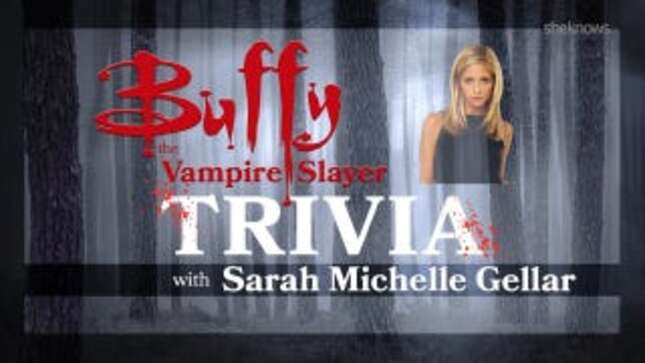 Sarah Michelle Gellar Doesn't Know Anything About <i>Buffy the Vampire Slayer</i>