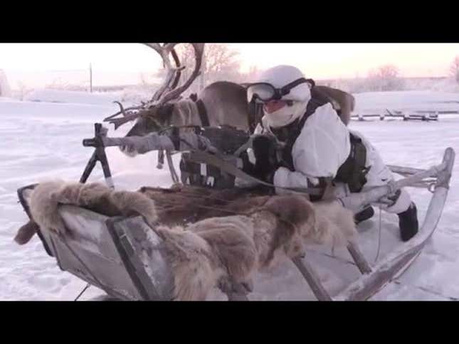 Russian Soldiers Go Native For Arctic Ops Using Reindeer And Dogsleds