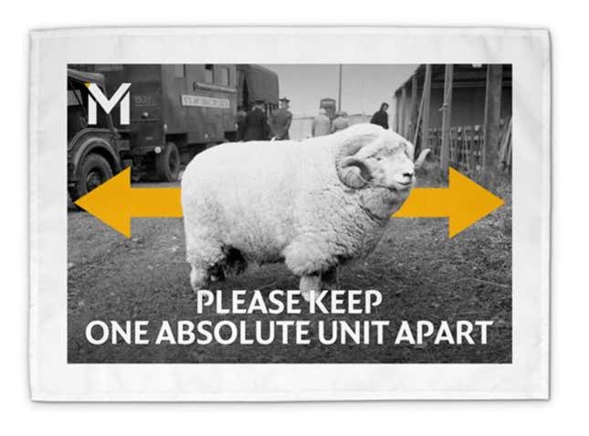 Image for article titled Look at This Absolute Unit Every Damn Day
