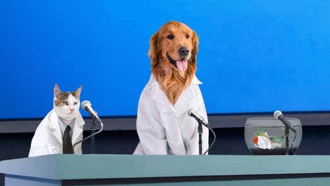 Image for article titled Pet Researchers Confirm 100% Of Owners Who Leave For Work Never Coming Back