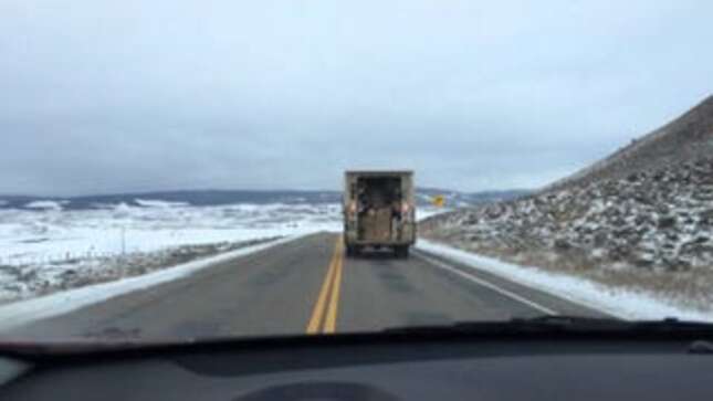 Here Is Exactly How FedEx Will Ruin Your Christmas