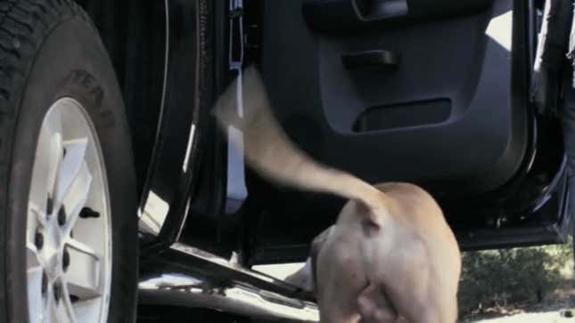 Image for article titled Every Butt in Every Hercules Movie, Ranked