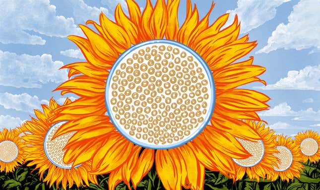 Were Those Cheerios Seeds Really So Bad? An Investigation<em></em>