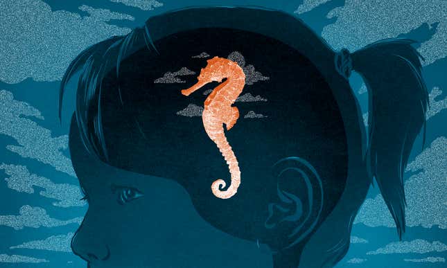 Illustration by Jim Cooke