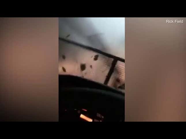 Man Driving Through Tornado Proves New Zealanders Swear Just As Much As Their Aussie Cousins