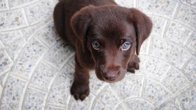 Image for article titled There Is A Secret To Cleaning Tile Floors And I Know The Secret