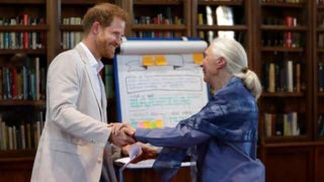 Prince Harry and Jane Goodall